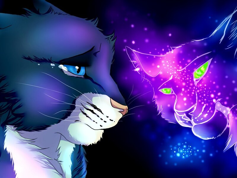 Two Cats Facing Each Other — Purple