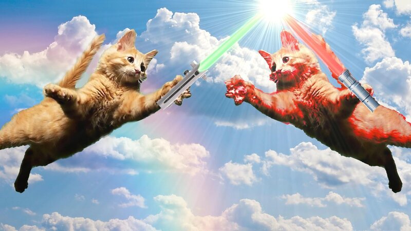 Two Cats Fighting — Blue, Dramatic