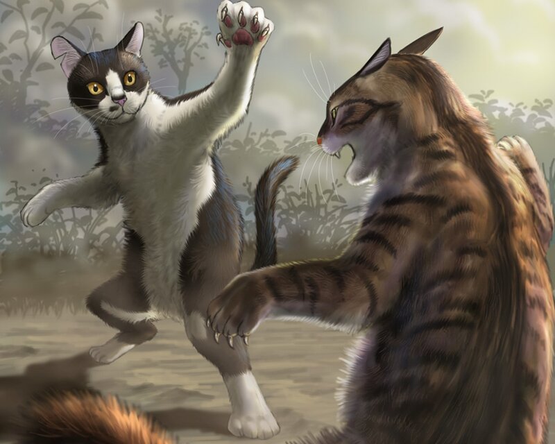 Two Cats Fighting — Brown, Dramatic