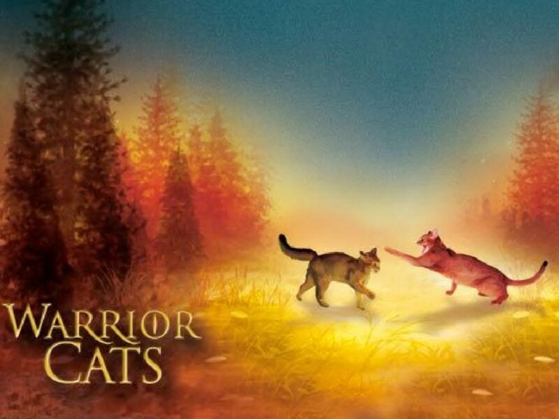 Two Cats Fighting — Yellow