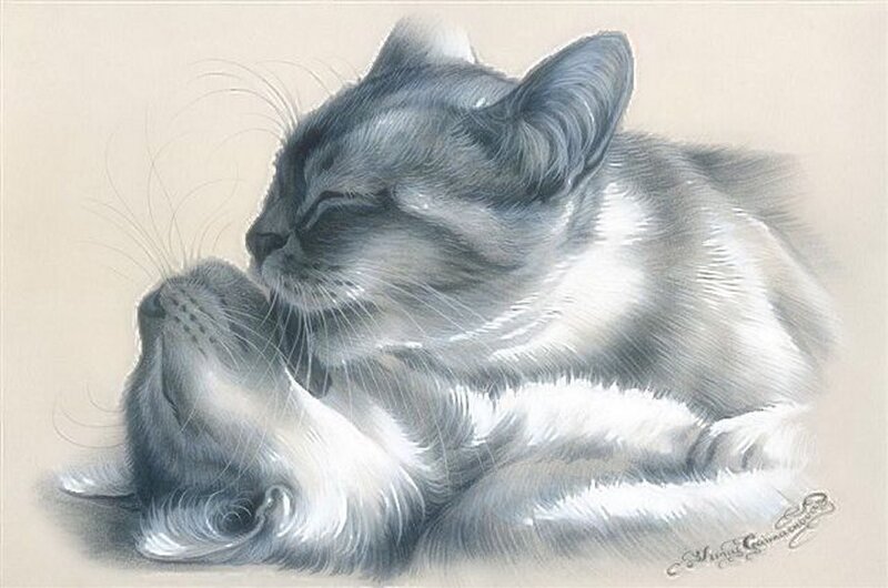 Two Cats Grooming — Gray