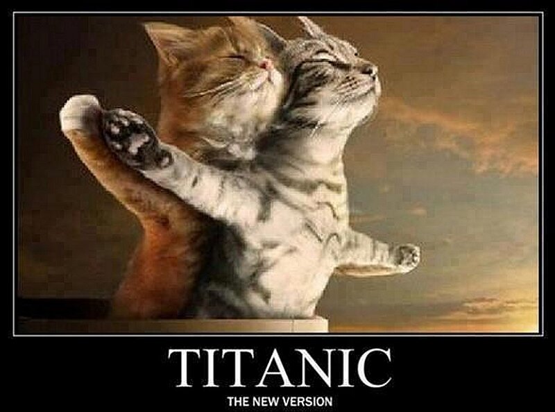 Two Cats Hugging — Brown, Dramatic