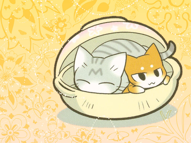 Two Cats in a Basket — Yellow