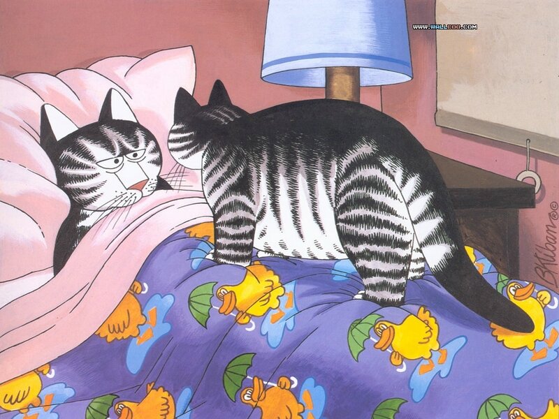 Two cats in a bed
