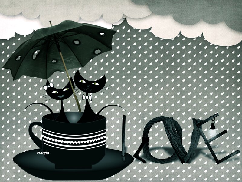 Two Cats in a Cup — Black