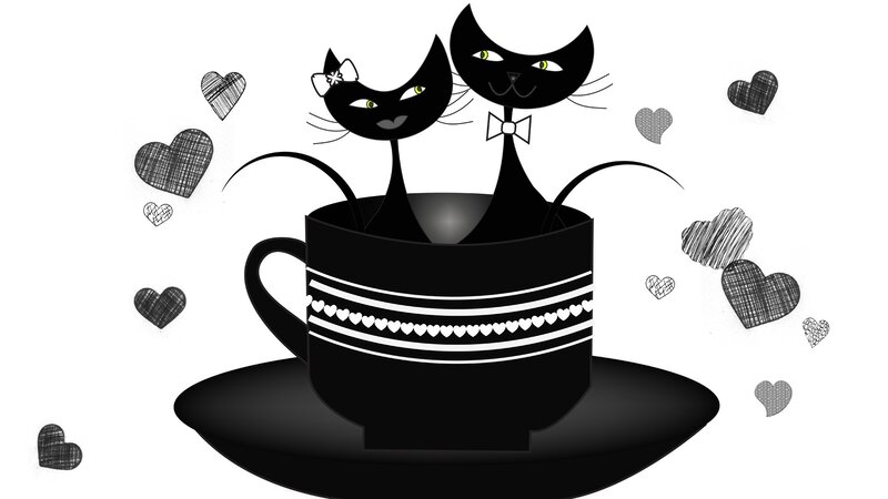 Two Cats in a Cup