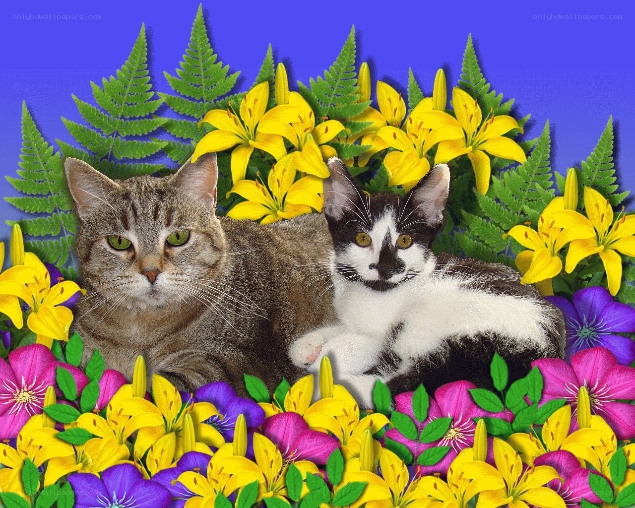 Two cats in a flower garden