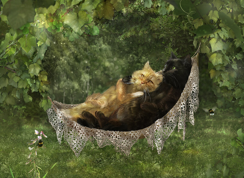 Two Cats in a Hammock