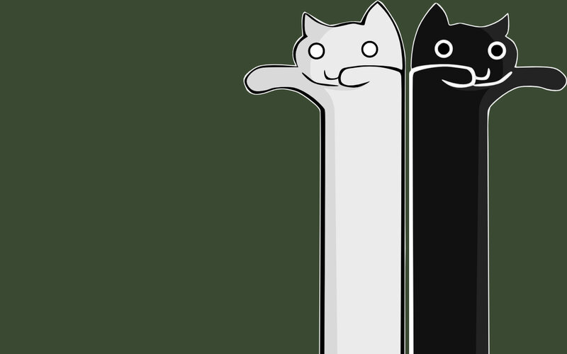 two cats in a line