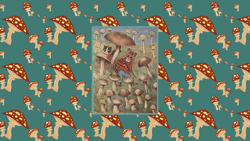 Two Cats in a Mushroom Field