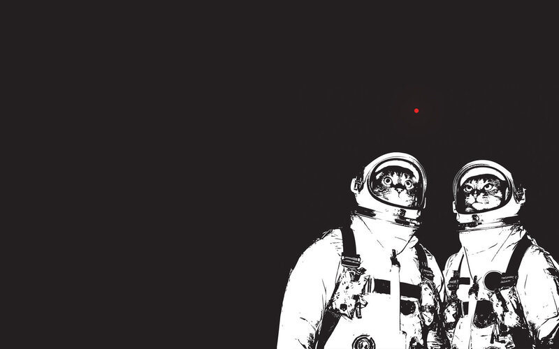 Two Cats in Astronaut Suits