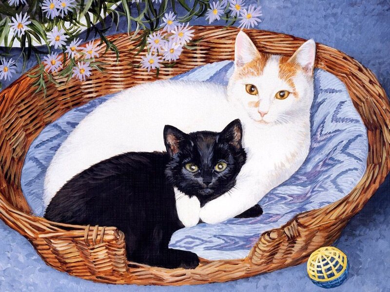 Two Cats in Basket