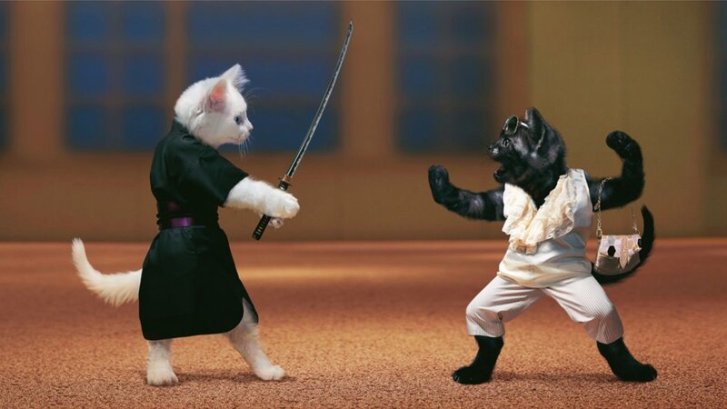 Two Cats in Costumes — White, Dramatic