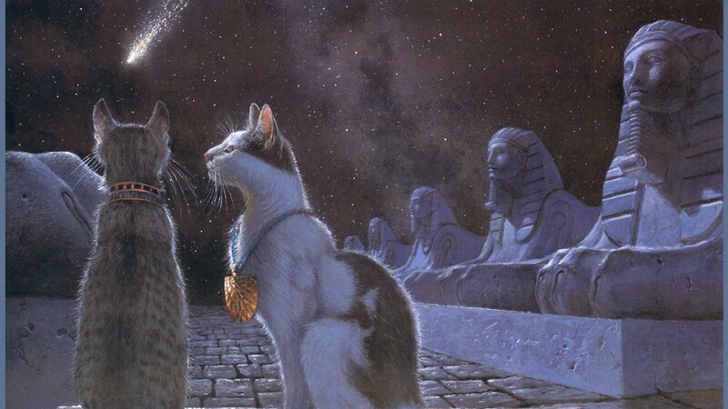 Two Cats in Egypt