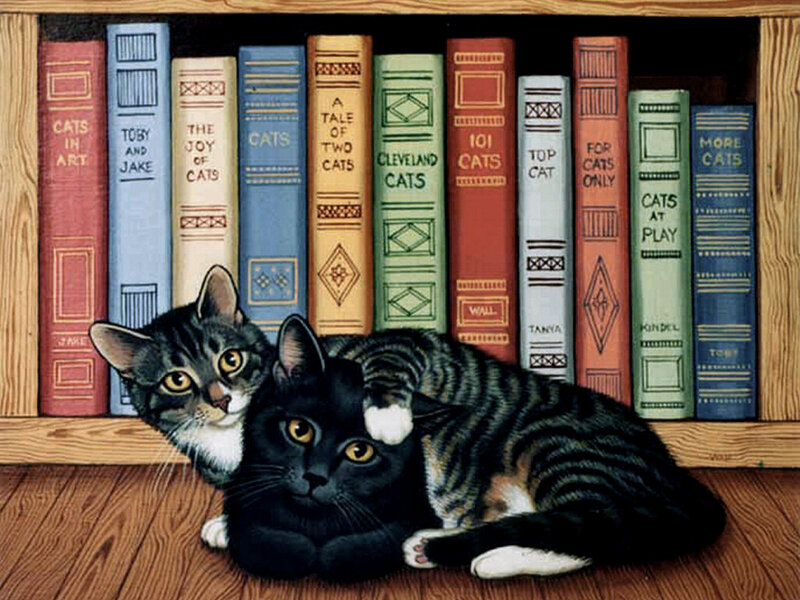 Two Cats in Front of Books