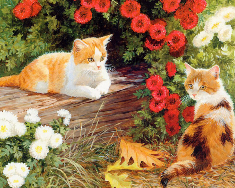 Two Cats in Garden — Orange, Serene
