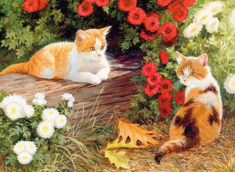 Two Cats in Garden — Orange