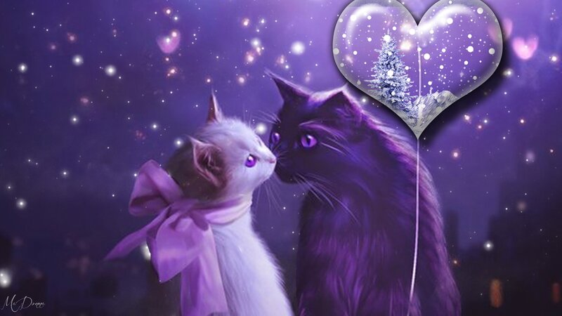 Two Cats in Love — Purple
