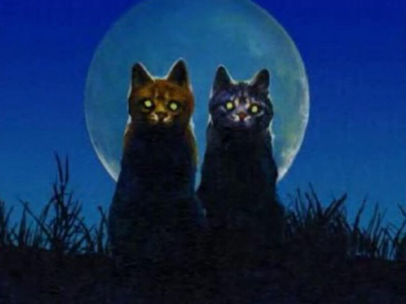 Two Cats in Moonlight