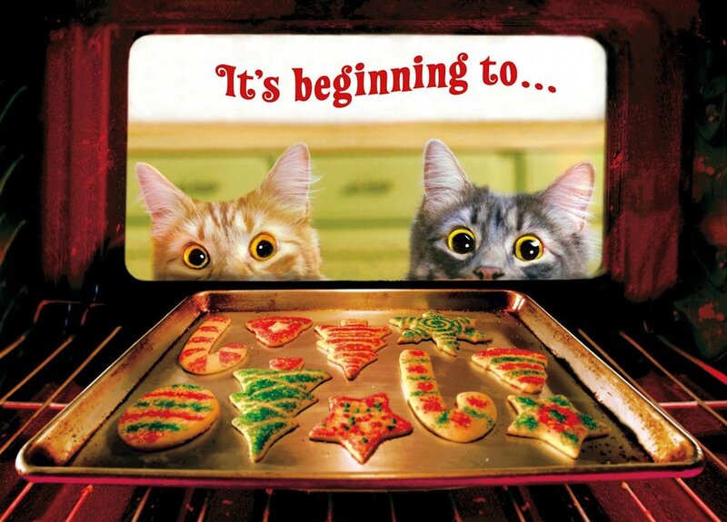 Two Cats in Oven