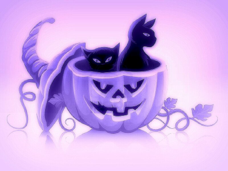 Two Cats in Pumpkin