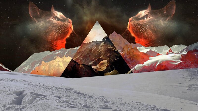 Two Cats in Space