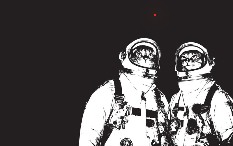 Two Cats in Spacesuits — Black, Dramatic, Night