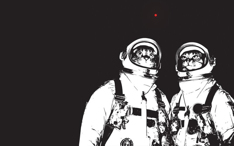 Two Cats in Spacesuits — Black, Dramatic