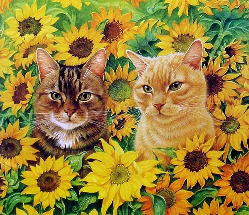 Two Cats in Sunflowers