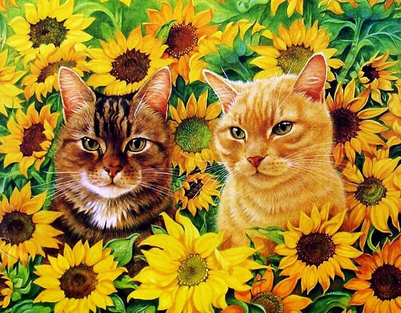 Two Cats in Sunflowers — Yellow