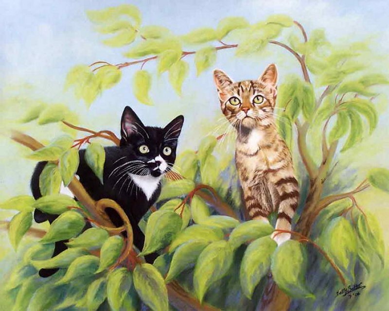 Two Cats in Tree