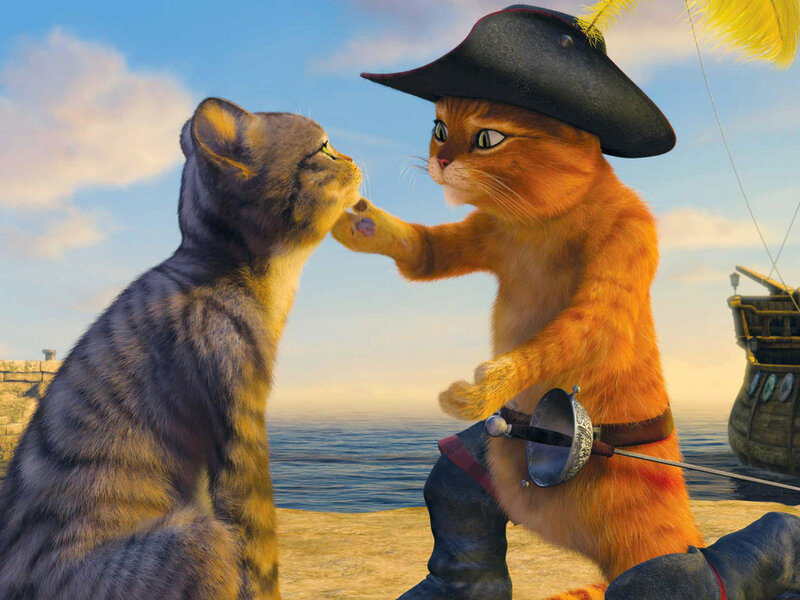 Two Cats Interacting — Orange, Playful