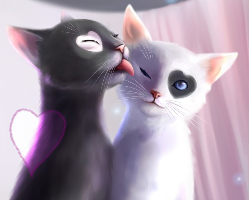Two Cats Kissing — White