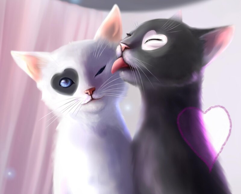 Two Cats Nuzzling — White, Affectionate