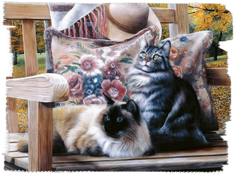Two Cats on a Bench