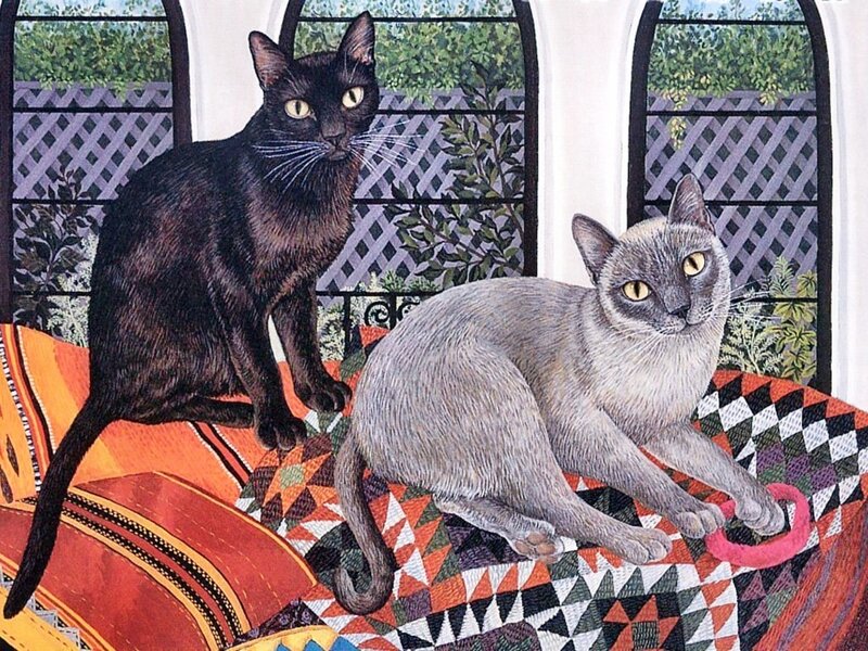Two Cats on a Blanket — Gray