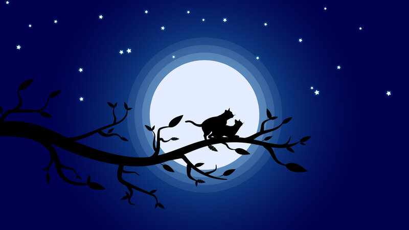 Two Cats on a Branch — Blue, Serene, Night, Vector Art