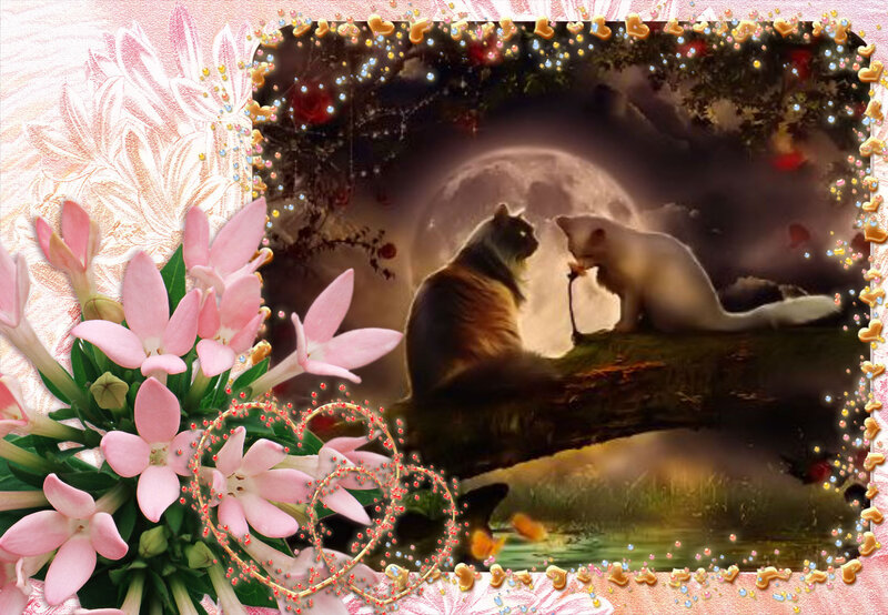 Two Cats on a Branch — Pink