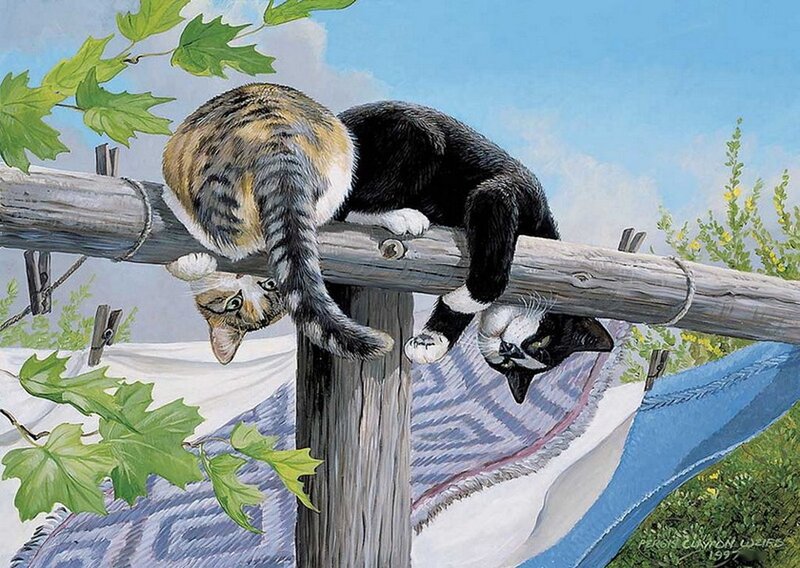 Two Cats on a Clothesline — Blue, Calm