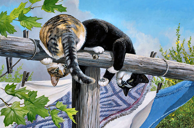Two Cats on a Clothesline — Blue