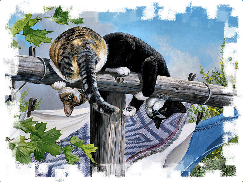 Two Cats on a Clothesline