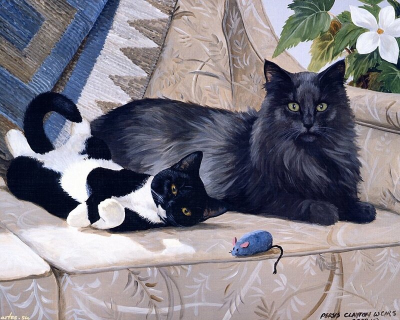 Two Cats on a Couch — Black, Calm