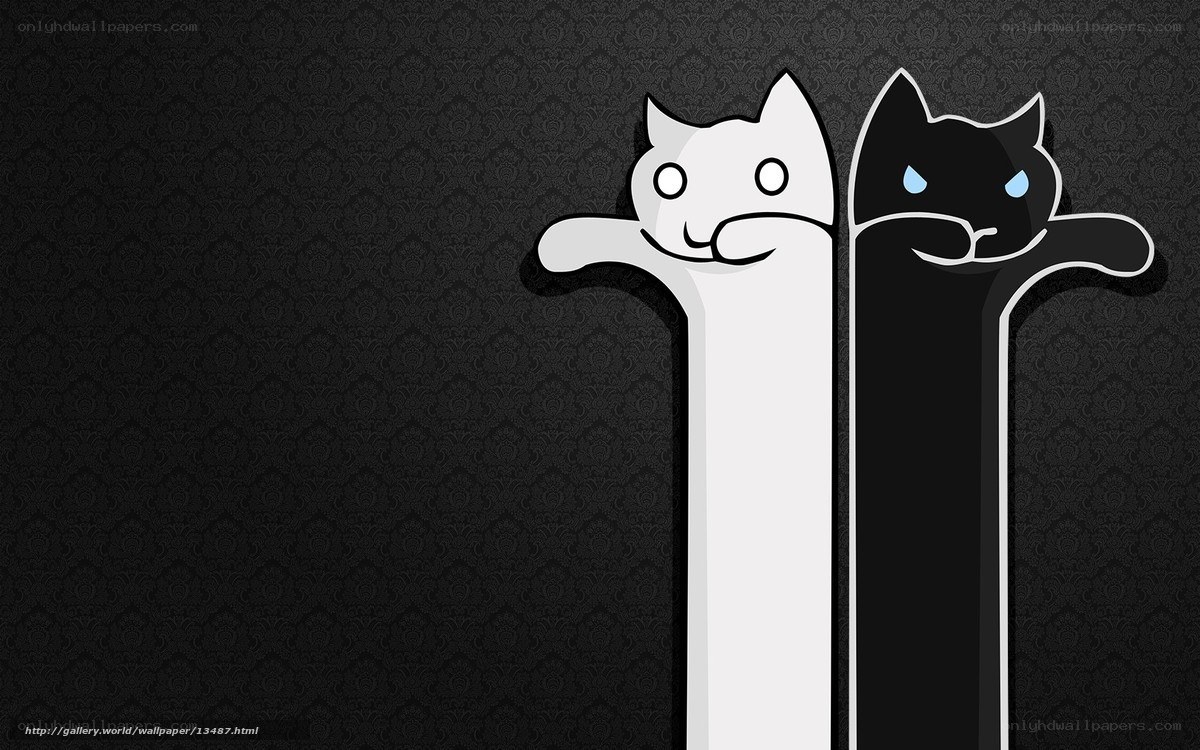 Two cats on a dark background