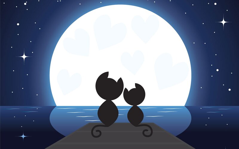 Two Cats on a Dock