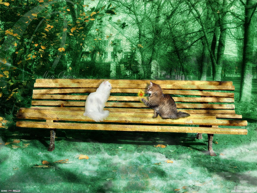 Two cats on a park bench