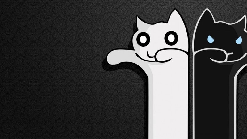 two cats on a patterned background