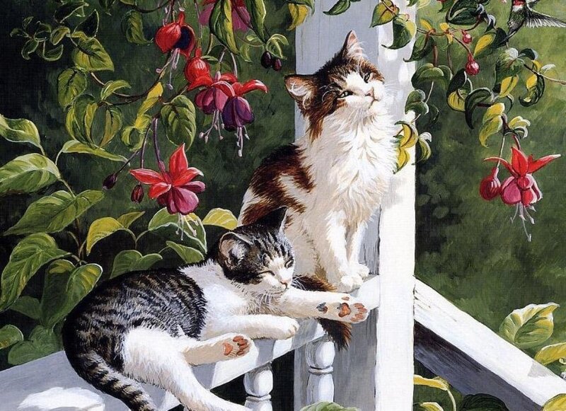 Two cats on a porch with flowers