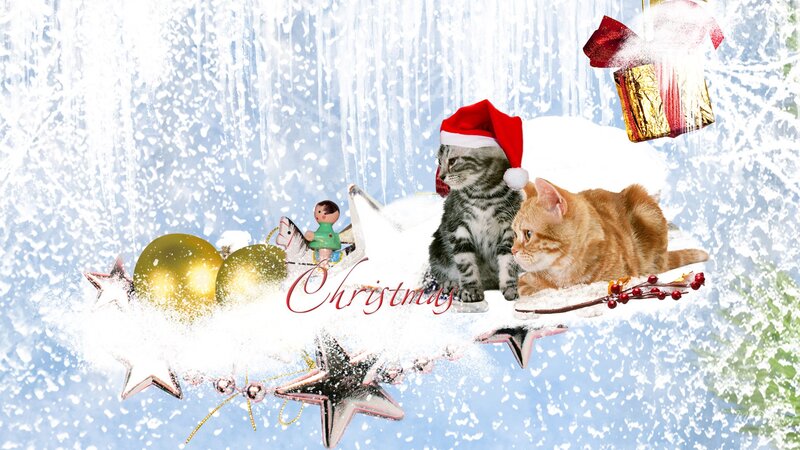 Two Cats on a Sleigh