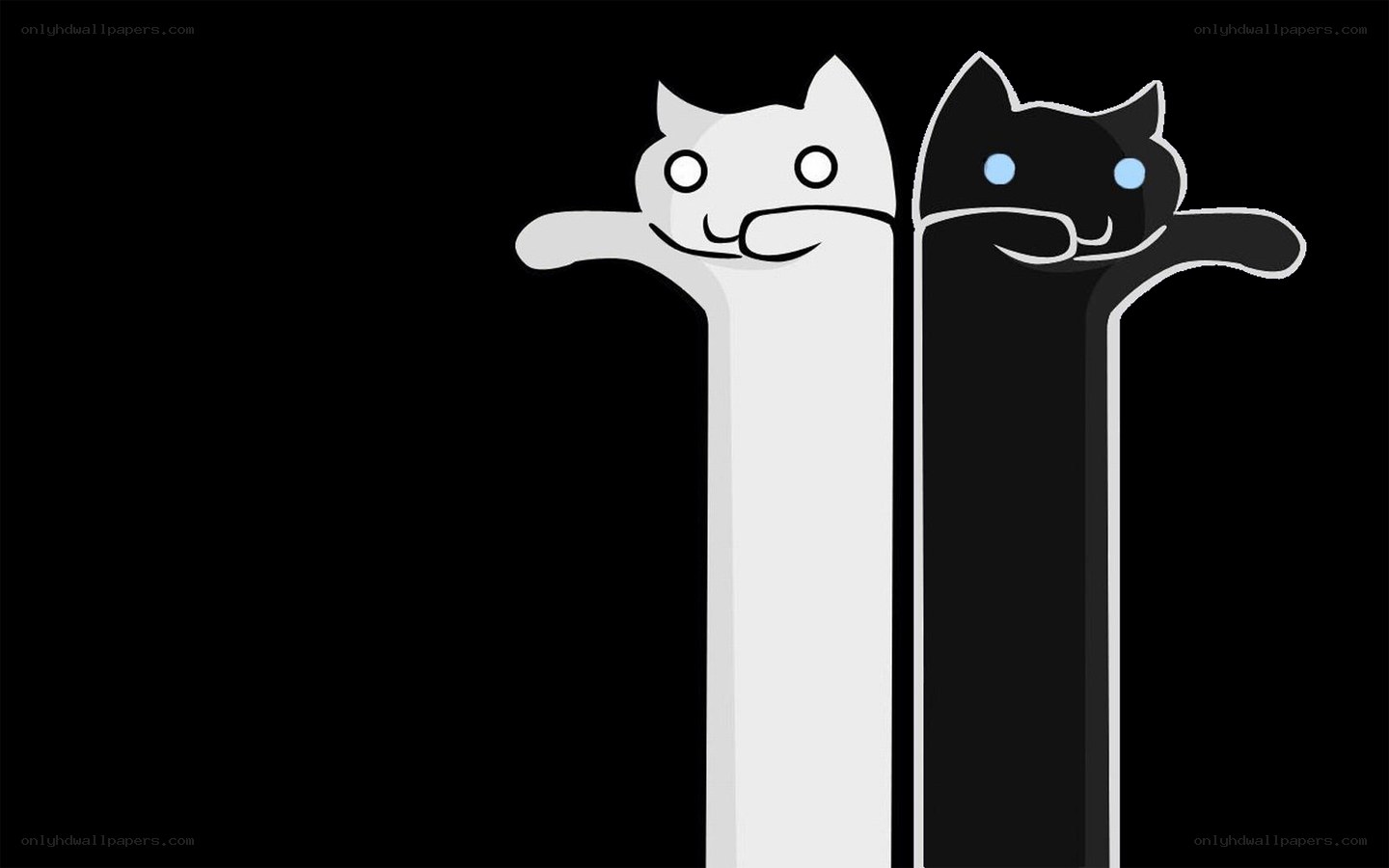 two cats on a wall
