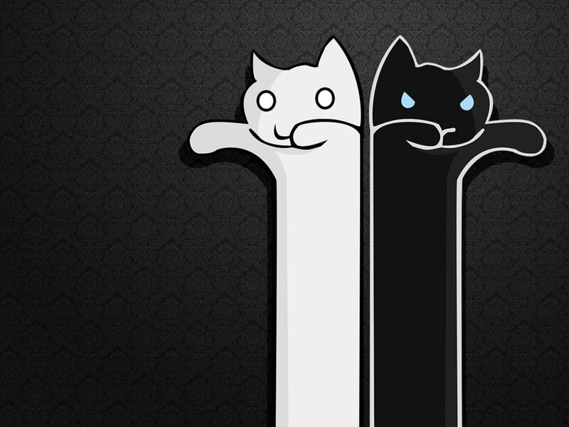 two cats on a wall